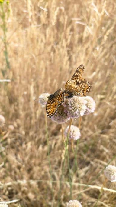 El Telar Arte Y Naturaleza Prádena Buitenkant foto