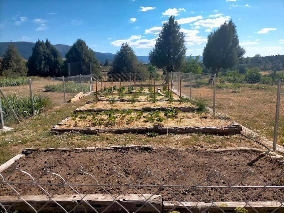 El Telar Arte Y Naturaleza Prádena Buitenkant foto
